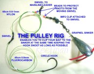 PULLEY_RIG_WHOLE.jpg