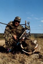 Wayne's Warthog.jpg