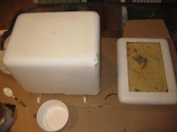 IMG_1332.JPG