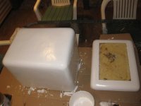 IMG_1335.JPG