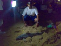 06042007173.jpg