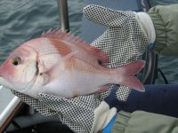 IMG_0218.jpg