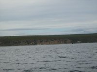 IMG_0237.jpg