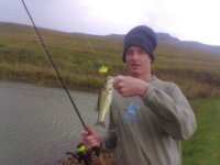 Bass 4.jpg