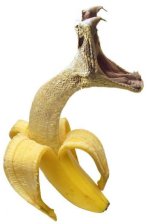 Banana.jpg