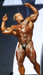 jay2a.jpg