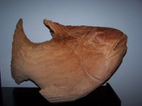 Moz fish 001.jpg