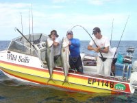 Yellowtail caught on Saturday.JPG