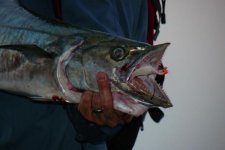 bucktail1.jpg