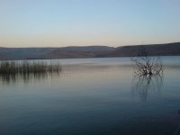 DSC00053_001.JPG