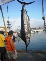 Blue Marlin 221,5 kgs.jpg