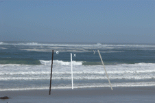 IMGP1001-2-2 reg.GIF