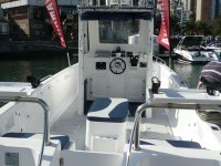seacat800b.JPG