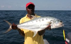 Sailfish IB 08 049.JPG