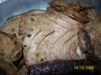 Kingfish fillet 002.jpg