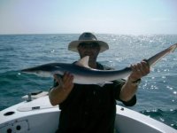 Black Tip Shark.JPG