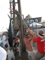 583 bluefin.jpg
