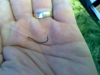 22012010267.jpg