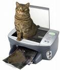 copycat.jpg