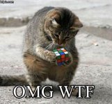OMGWTFCAT.jpg