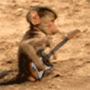 Picture2.gif