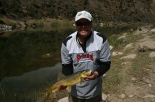 First Yellow.JPG