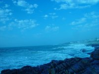 DSC03480.JPG