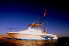Sailfish IB 08 040.JPG