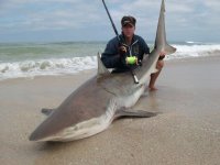 bronse- Macasar 009 (800 x 600).jpg