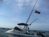Ska Rumba IV Super-Sach flying the flag.jpg