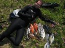 dive3.jpg