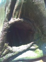 Image026.jpg