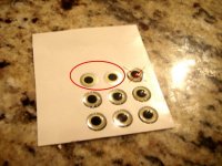 eyes4.jpg