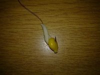 20022010922.jpg