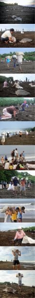 Substinance Fishermen.JPG