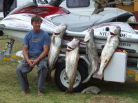 2010_0102Mosselbaai0124.JPG