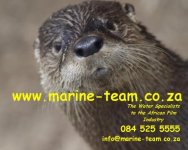 Main  Otter Logo for printing.jpg