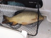 PIC_0825.JPG