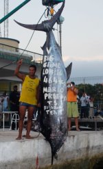 1022 lbs Lobito Blue Marlin with Captor Mario Proenca.JPG