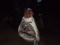 DSC00135.JPG