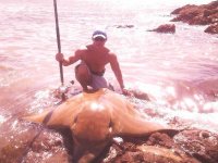 07Feb 2010 white 010.jpg