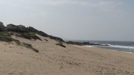 Winkles 002.jpg