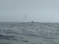 t22.JPG