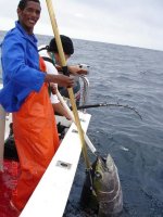 zazu pulling fish.JPG