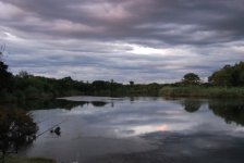 River View.JPG