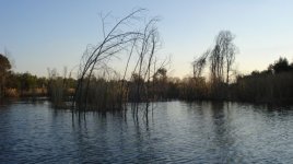 DSC01475.JPG