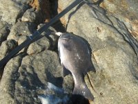 IMG_1320.JPG