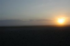 _IGP1505 (Large).JPG