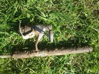 25042010076.jpg
