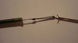 DSC01431.JPG